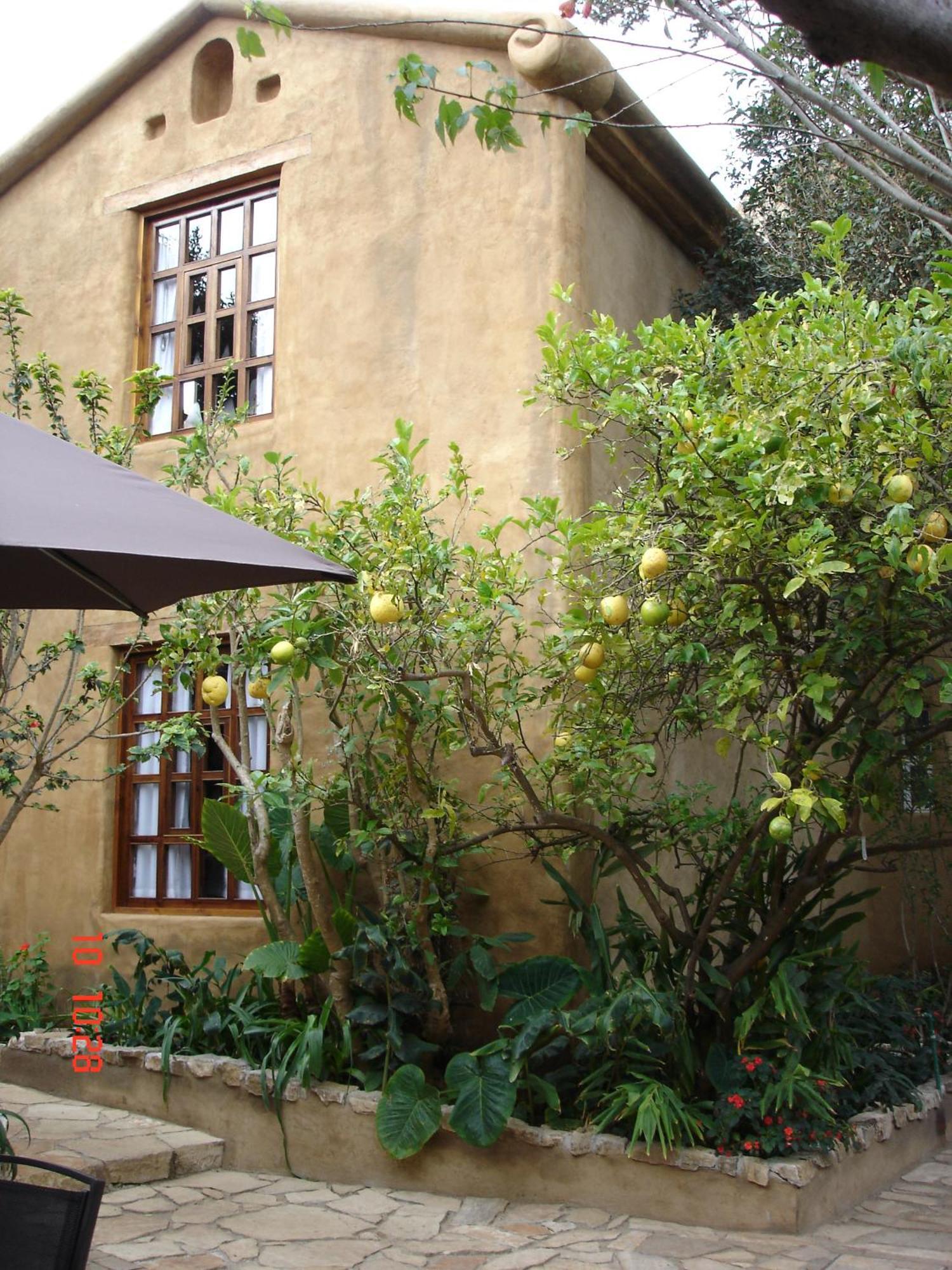 Guayaba Inn Boutique Hotel Сан-Кристобаль-де-Ла-Касас Экстерьер фото